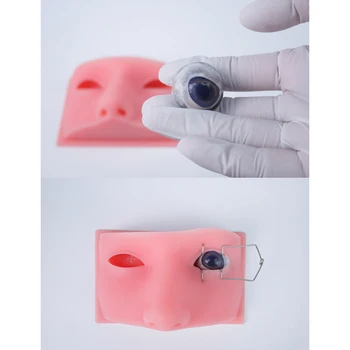Модель офтальмологической головки микрохирургия Упражнения для глаз животных Высококачественная силиконовая Офтальмологическая хирургическая модель